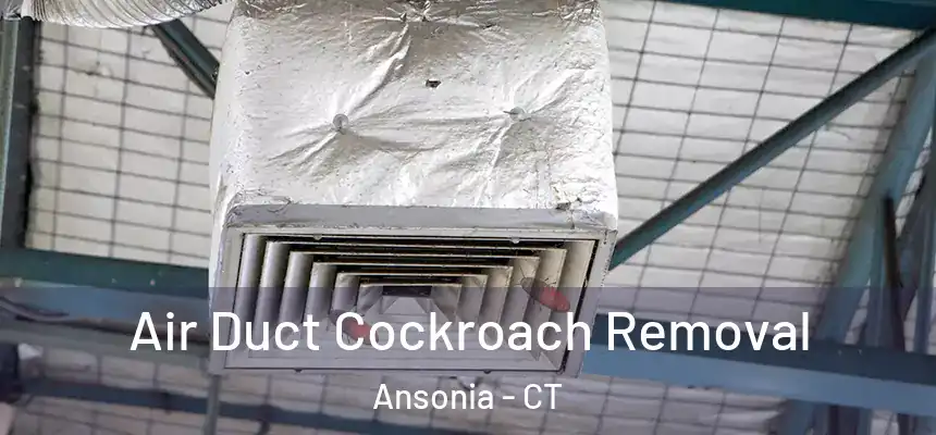  Air Duct Cockroach Removal Ansonia - CT