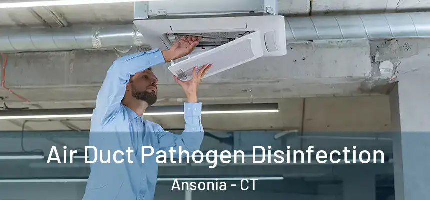  Air Duct Pathogen Disinfection Ansonia - CT