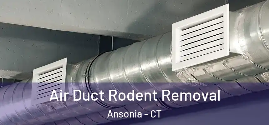  Air Duct Rodent Removal Ansonia - CT