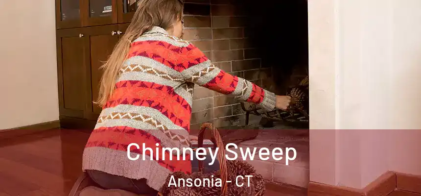  Chimney Sweep Ansonia - CT