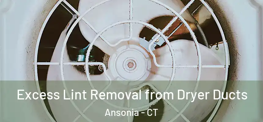  Excess Lint Removal from Dryer Ducts Ansonia - CT