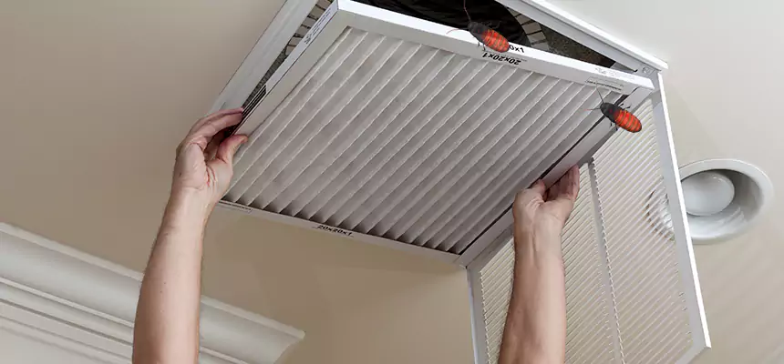 Preventive Cockroach-Proofing for Ducts in Ansonia
