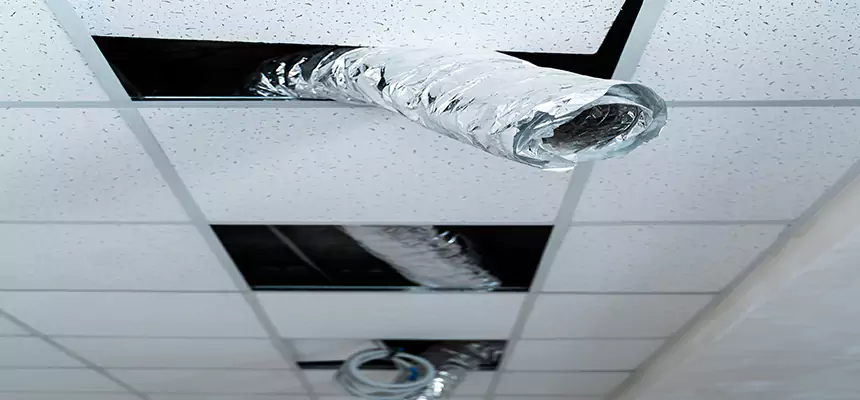 Affordable HVAC Sanitizing After Pest Removal in Ansonia