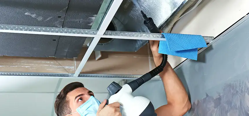 Our Air Duct Rodent Removal Services in Ansonia, CT
