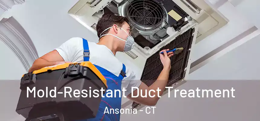  Mold-Resistant Duct Treatment Ansonia - CT