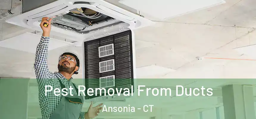  Pest Removal From Ducts Ansonia - CT
