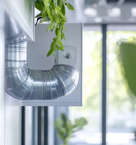 Professional Eco-Safe Dryer Vent Cleaning in Ansonia, CT