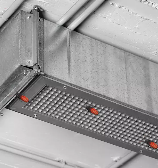 Affordable Insect Removal from Air Ducts in Ansonia, CT