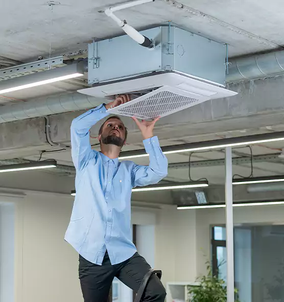 Advanced Rodent Droppings In Vents in Ansonia, CT