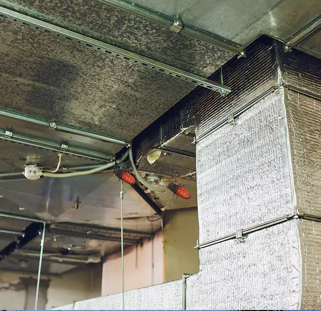 Why Homeowners & Businesses Trust Us in Ansonia, CT?