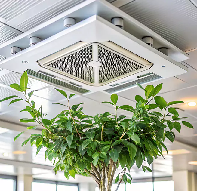 Why Homeowners & Businesses Trust Us in Ansonia, CT