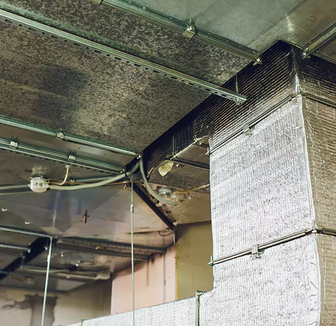 Why Homeowners & Businesses Trust Us in Ansonia, CT?