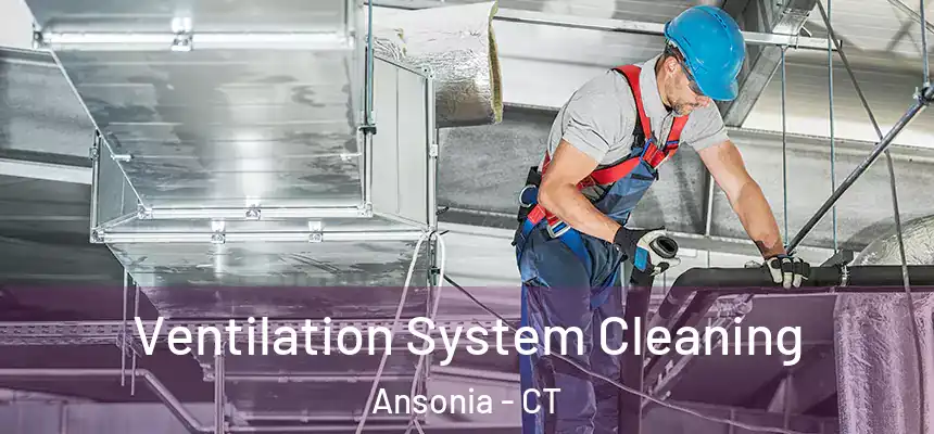  Ventilation System Cleaning Ansonia - CT